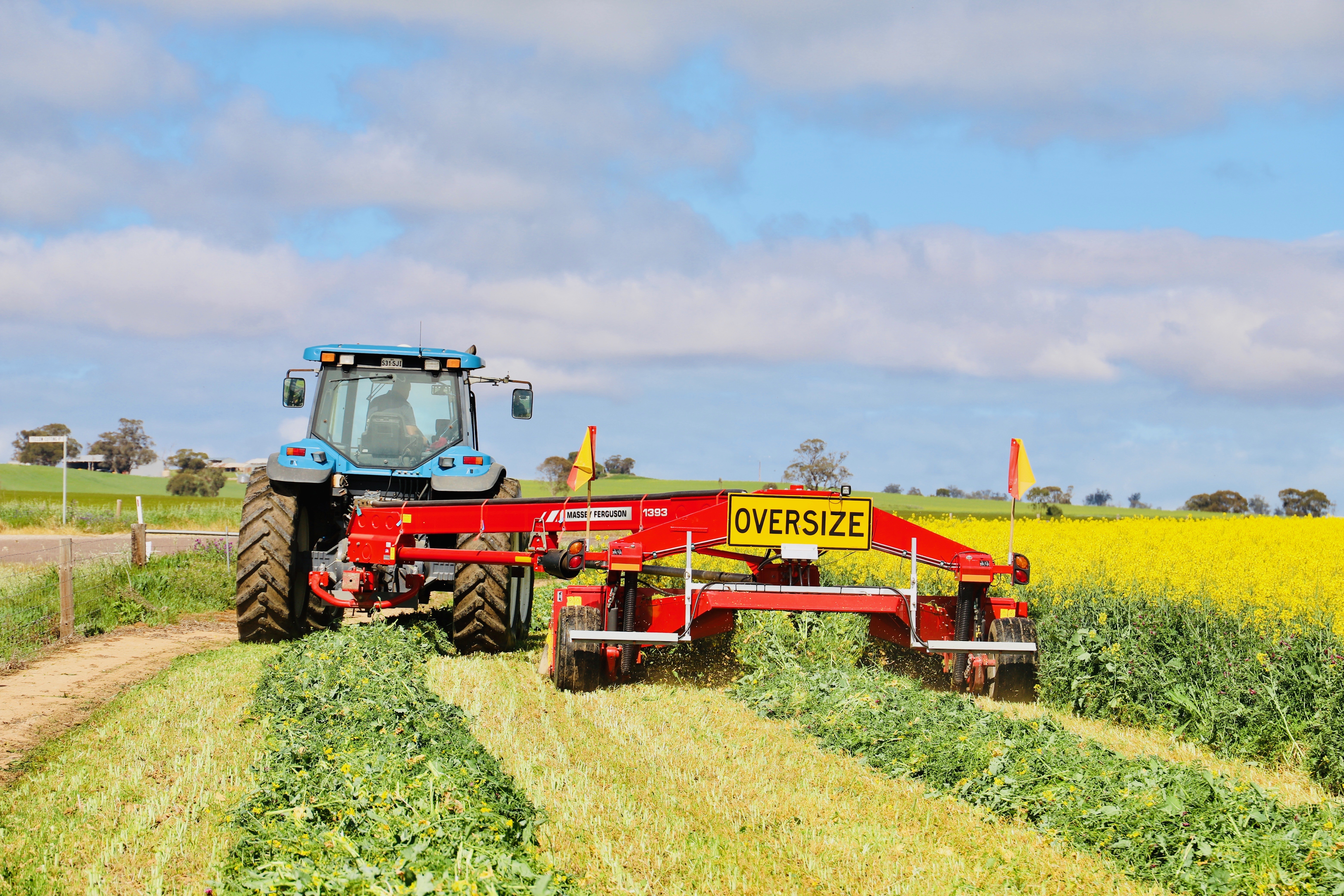 Vetch Canola hay